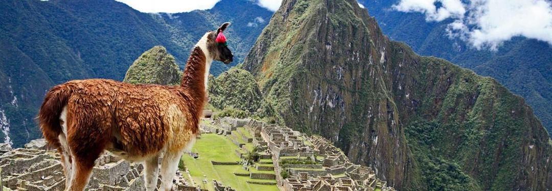 Penampakan Negeri di Atas Awan Terbaik Sedunia, Machu Picchu!