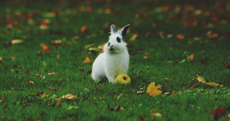 Noah Siliman via Unsplash