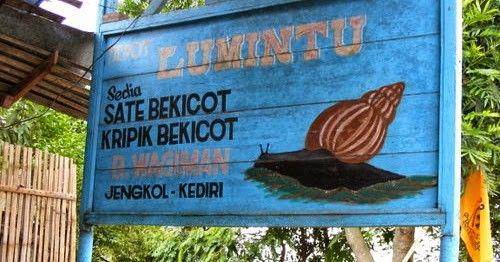 warunganekainfo