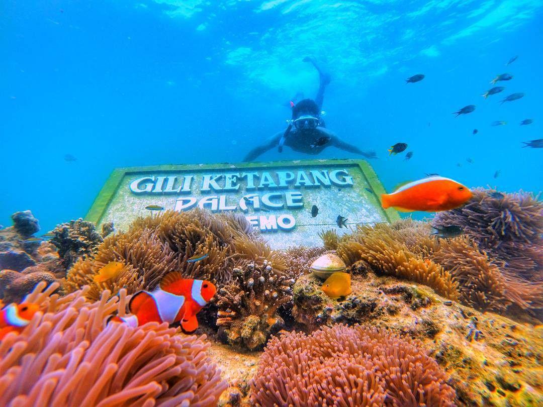 15 Destinasi Wisata Alam Probolinggo yang Jarang Orang Tahu