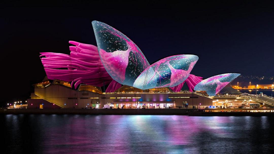 Kamu Pasti Gak Mau Kelewatan 5 Hal Ini Kalo ke Sydney