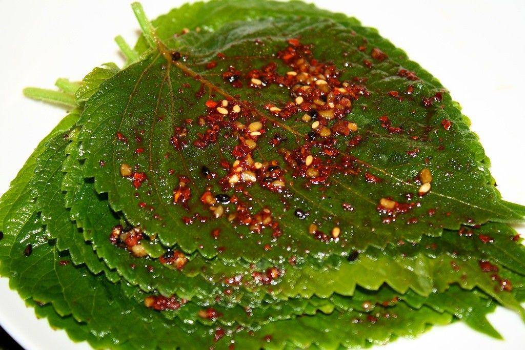 vegan8korean.wordpress.com