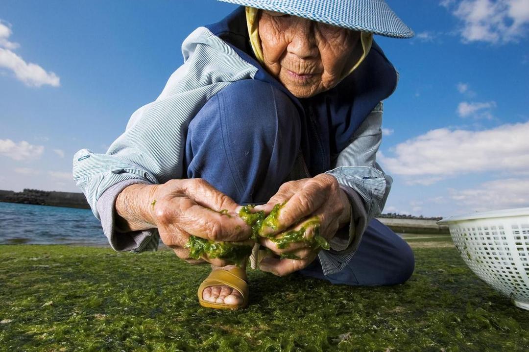 Ternyata Diet Ini yang Jadi Rahasia Umur Panjang Penduduk Okinawa
