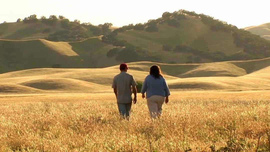 Kamu Mahasiswa Pertanian? 5 Film Ini Cocok Banget Jadi Bahan Belajarmu