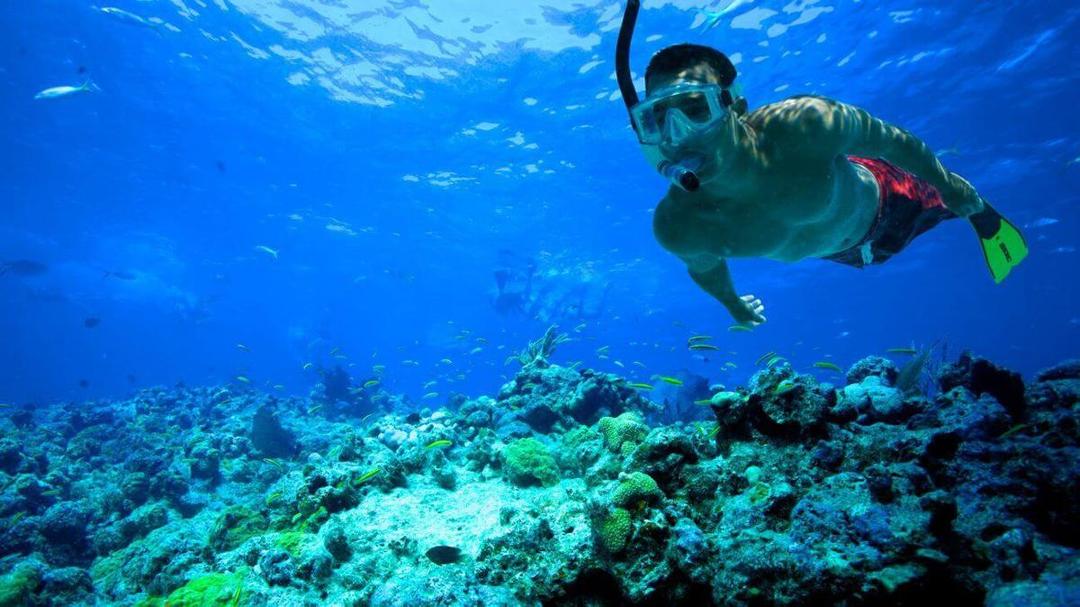 Gak Bisa Renang Tapi Pengen Snorkeling? Jangan Abaikan 5 Tips Ini!