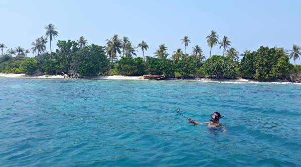 travellie.com