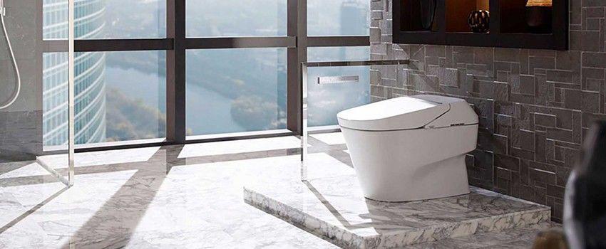 Canggih! 5 Toilet Seharga Ratusan Juta Rupiah, Tertarik Membelinya?