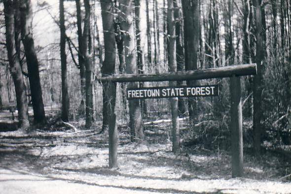 neparanormalresearch.com