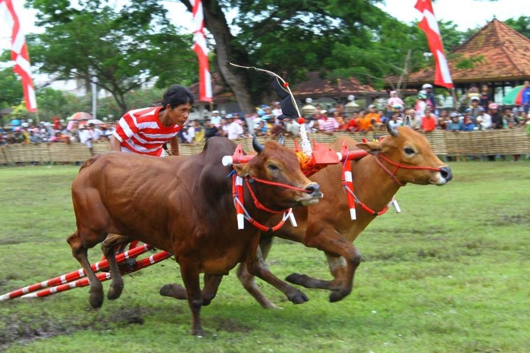 12 Olahraga Tradisional yang Ternyata Asli Indonesia
