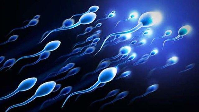 Lima Fakta Unik Tentang Sperma yang Mesti Kamu Tahu