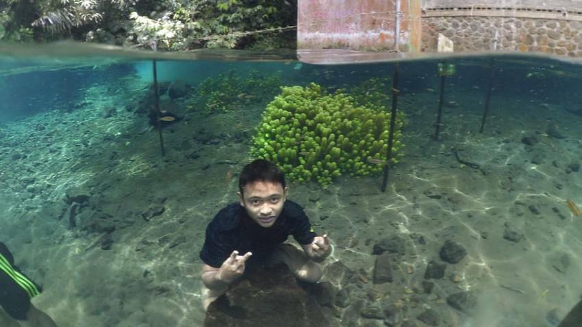 4 Tempat Snorkling Recommended di Malang, Gak Perlu ke Raja Ampat!