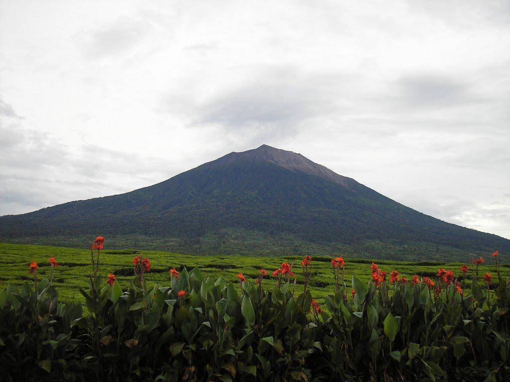 panoramio.com
