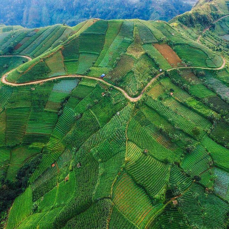 indonesia.tripcanvas.co