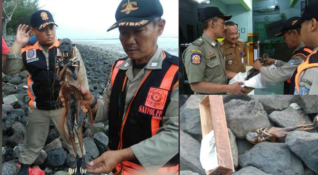 Jenglot yang Hebohkan Warga Surabaya Segera Dilarung