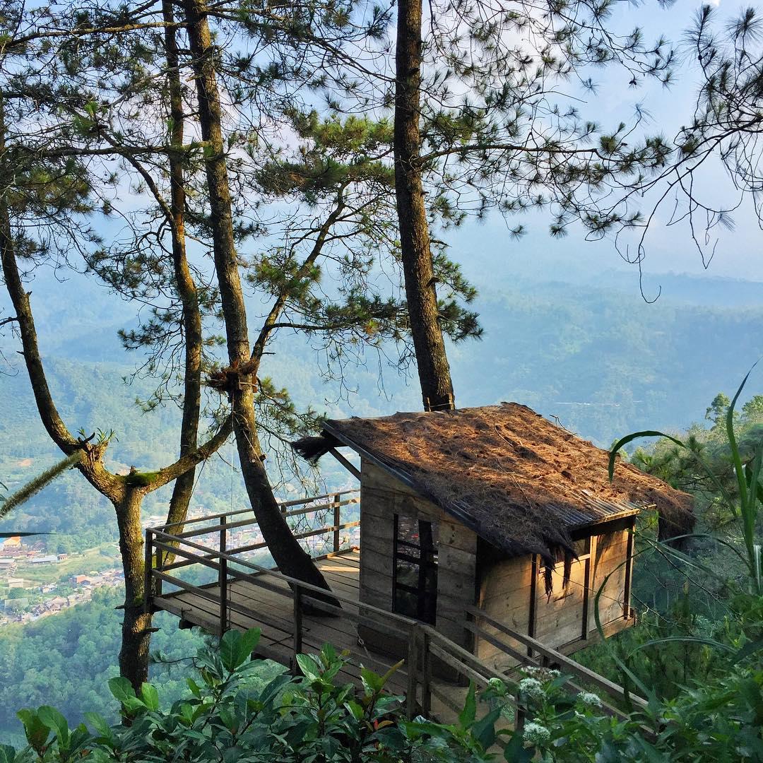 10 Rumah Pohon Paling Unik di Dunia, Punya Indonesia Keren Banget!