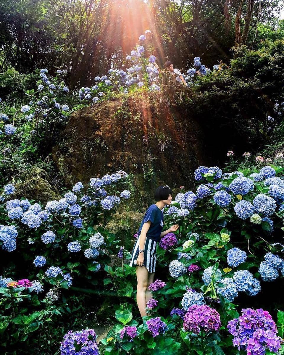 instagram.com/vivianhaung