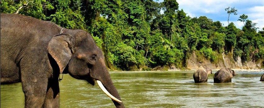 Wisata Unik di Medan yang Gak Kalah Unik Sama Luar Negeri
