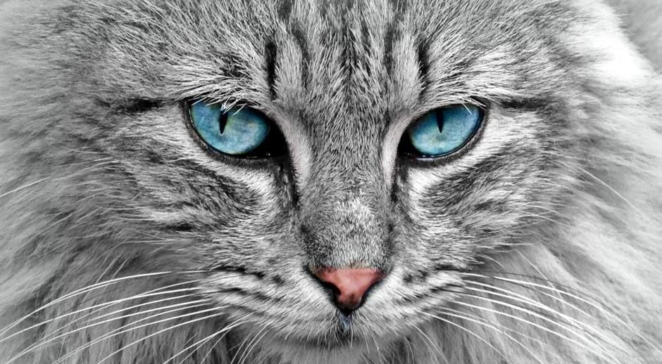 7 Karakteristik Penyuka Warna Abu-abu, Cek di Sini