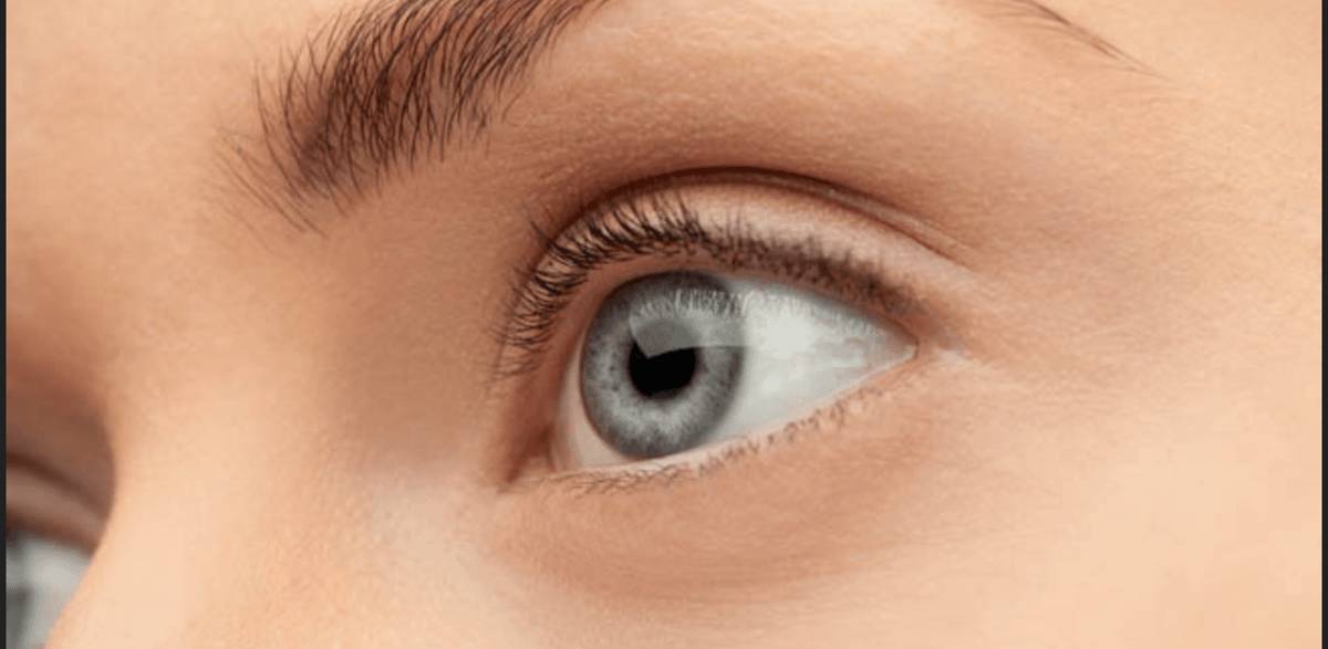 https://www.japansoftlens.com/news/page/9/
