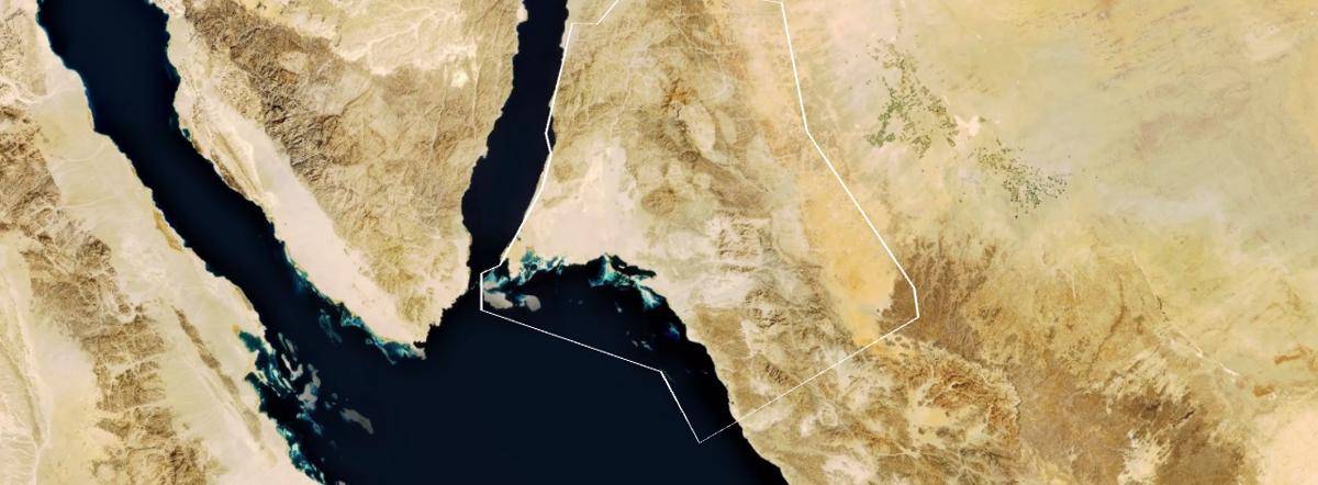discoverneom.com