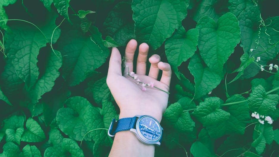 Telapak Tangan Bisa Ungkap Karakter Cinta Pasanganmu Lho, Nih Caranya