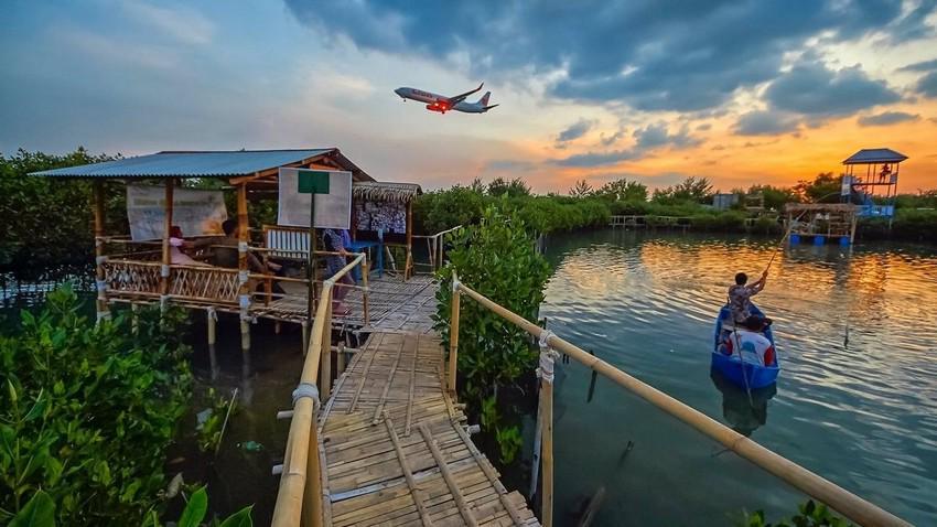 5 Wisata Mangrove di Jawa Tengah yang Indahnya Kebangetan
