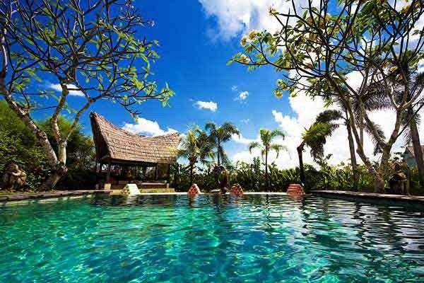 bali.com