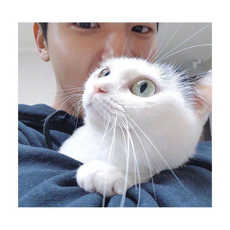 instagram.com/kangminhyukkk