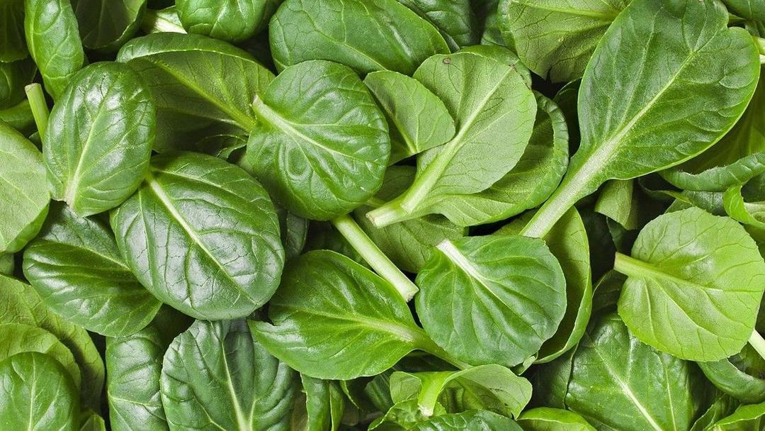 5 Kasus Kematian Gara-gara Sayur Mayur, Gak Disangka Banget!