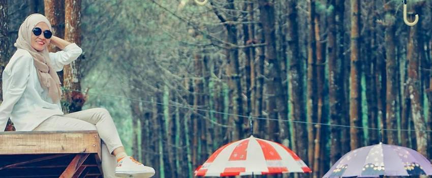 4 Wisata Hutan Pinus di Jawa Tengah Paling Recommended Buat Foto-foto