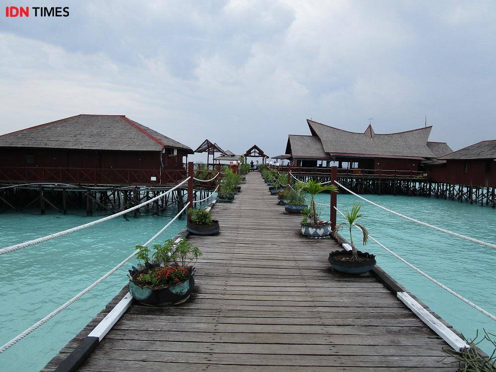Menjelajahi Derawan: Bertemu Tukik & Berenang di Palung Laut