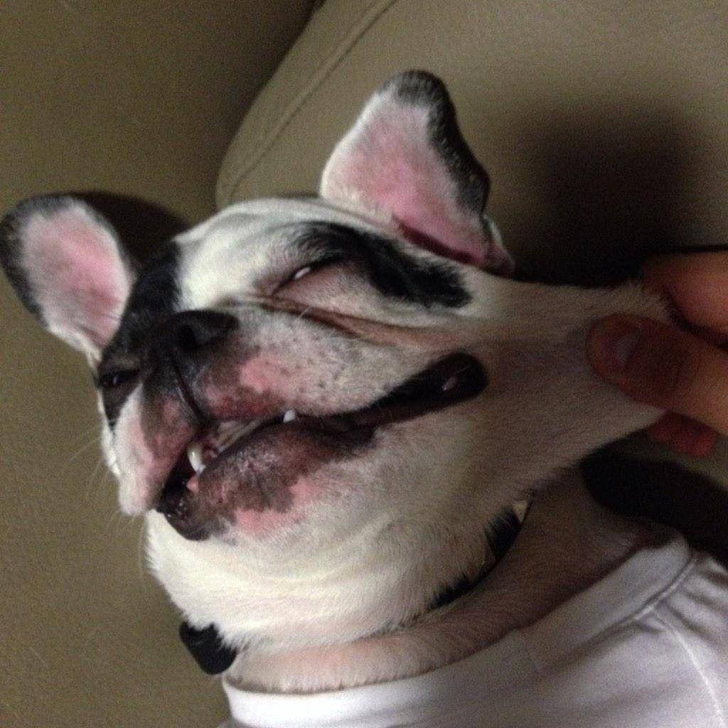 twitter.com/choibugsy