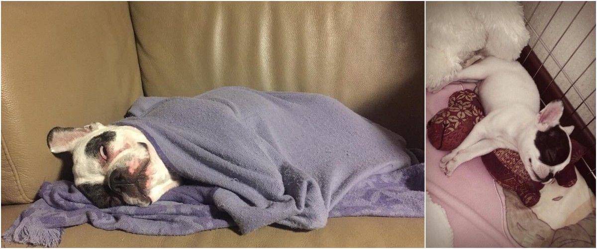 twitter.com/choibugsy