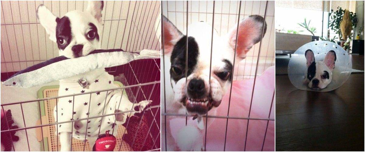 twitter.com/choibugsy