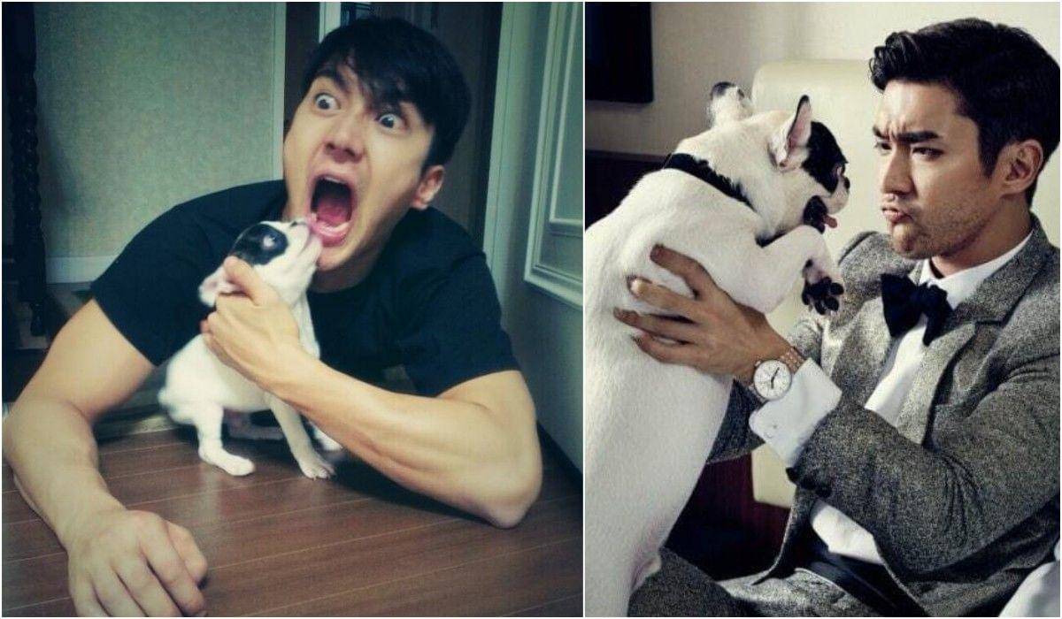 twitter.com/choibugsy