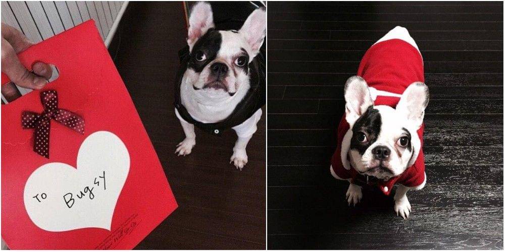 twitter.com/choibugsy