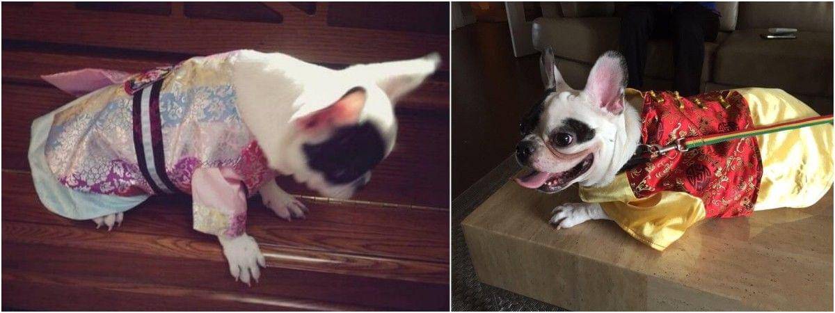 twitter.com/choibugsy