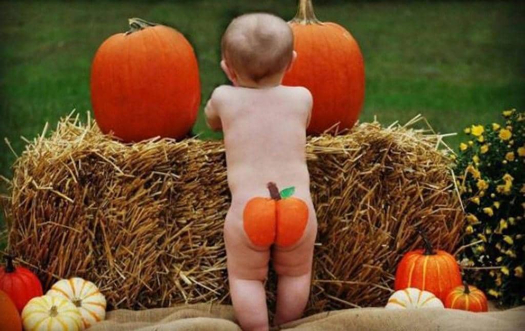 Astaga Minta Dicubit! Pumpkin Butts, Trend Foto Bayi Sambut Halloweeen