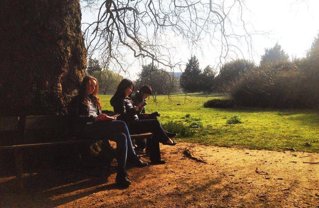 instagram.com/oxfordgradstudy