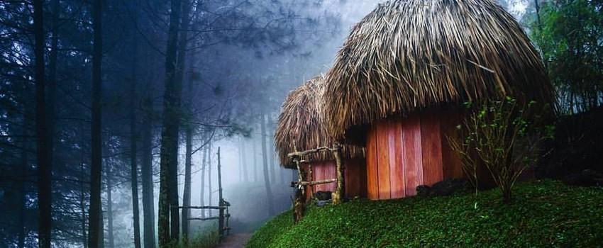 4 Wisata Hutan Pinus di Jawa Timur yang Keren Abis Buat Foto-foto