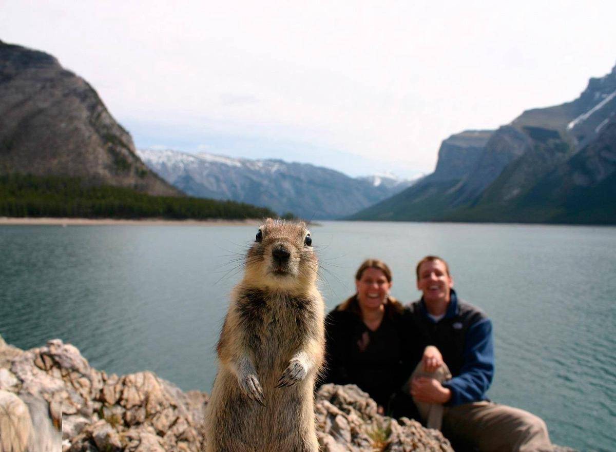 www.nationalgeographic.com
