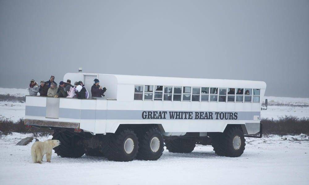 www.worldwildlife.org