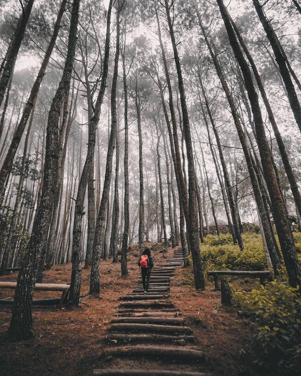 instagram/saiffuul