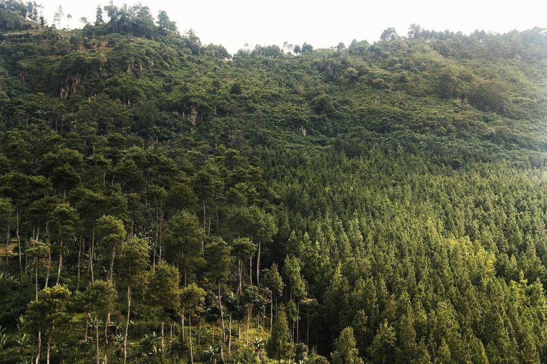 instagram/scenery_area