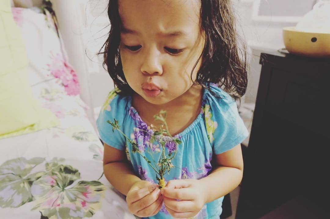 instagram.com/artikasaridevi