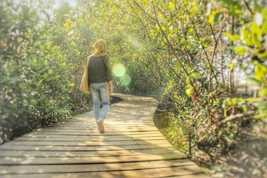 3 Wisata Mangrove Paling Indah di Jawa Timur, Sudah Pernah ke Sana?