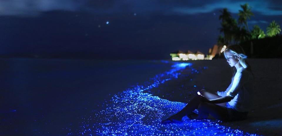 Booking Yuk! 5 Hotel Terjangkau Mulai Rp 830 Ribuan di Maldives