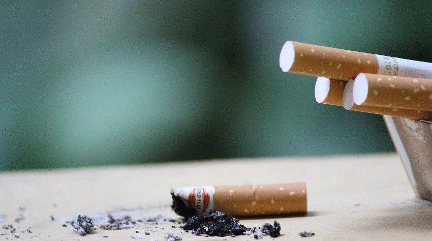 hidup lebih baik tanpa asap rokok