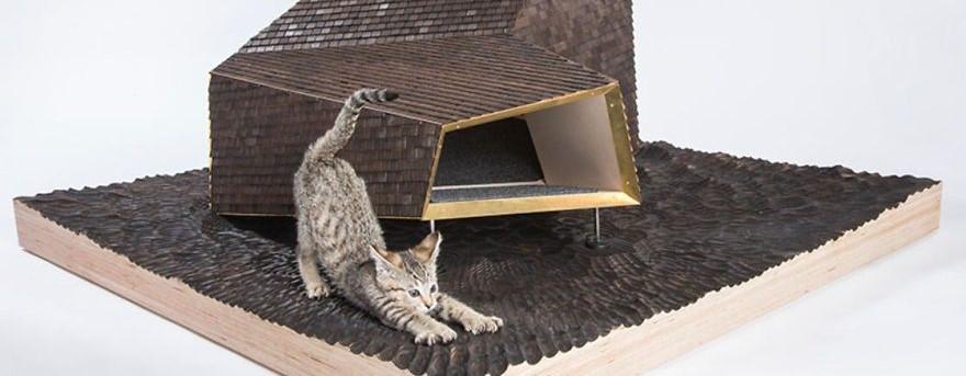 Lucu Banget, 13 Inspirasi Bikin Kandang Kucing Sendiri di Rumah