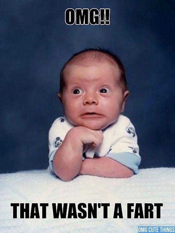 omgcutethings.com